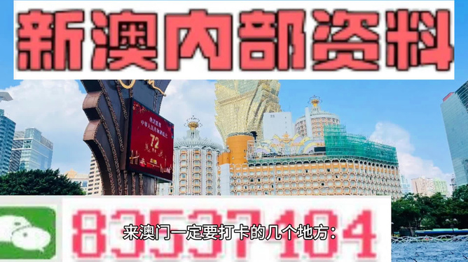 新澳2024年精准资料,新澳2024年精准资料解析