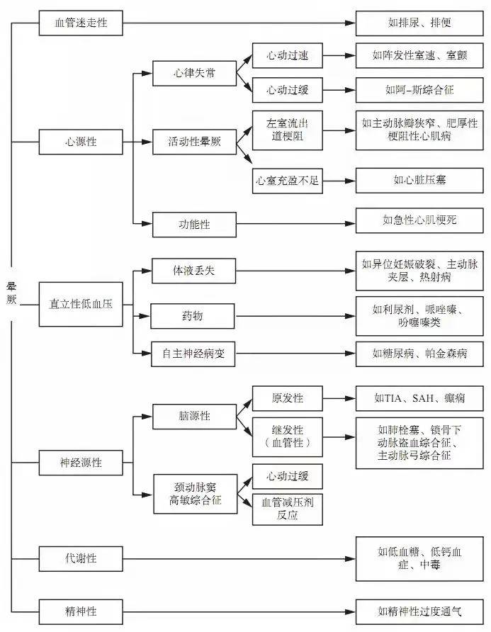 管家婆一肖一马一中一特,管家婆一肖一马一中一特，揭秘神秘背后的故事