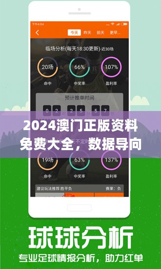 2024澳门免费资料,澳门免费资料，探索未来的机遇与挑战