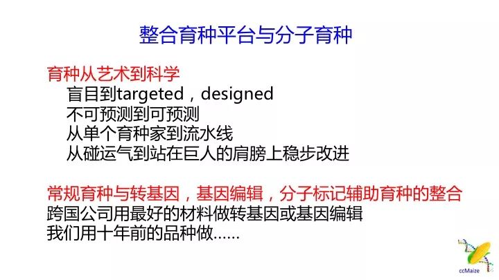 澳门一肖100准免费,澳门一肖100准免费——揭示背后的风险与真相