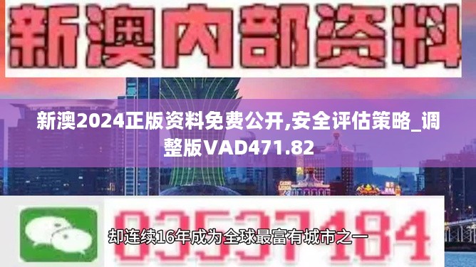 2024新奥精选免费资料,探索卓越之路，2024新奥精选免费资料深度解析