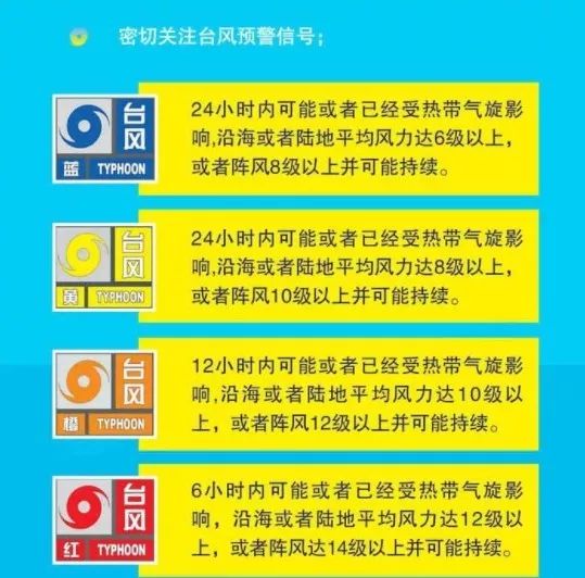 新奥免费精准资料大全,新奥免费精准资料大全，深度解析与实用指南