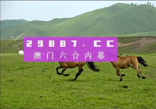 7777788888精准跑狗图正版,探索正版精准跑狗图，一场数字与娱乐的交融之旅