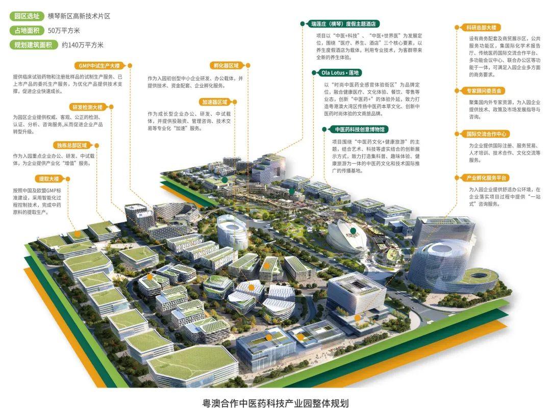 新澳门2025免费瓷料大全,新澳门2025免费瓷料大全——探索与赏析